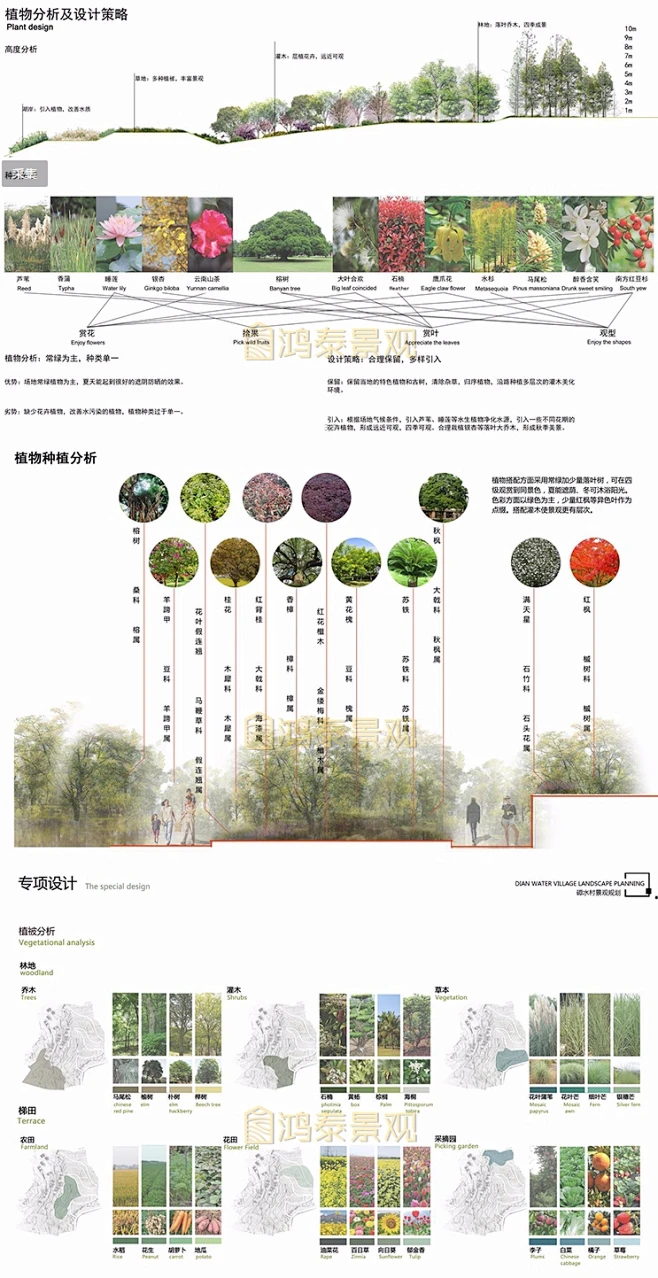 景观竞赛植物分析图psd素材植物专项种植设计策略搭配方案ps素材-淘宝网-花瓣网