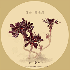 天乐Tony采集到H(画)