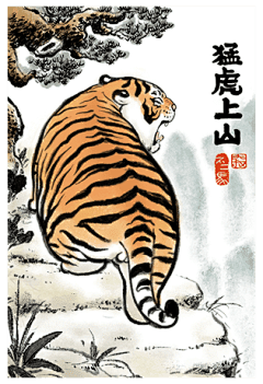 江桥寻采集到老虎