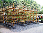 The Babylon Urban Garden Made Out of Bamboo VegetablesVertical garden
