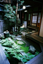 雨中石上的鲜绿苔藓，庭院回廊看得到的温软绿意，山野自然之息流动着，逐渐湿润了心脾。订阅号正在推送「苔藓生花，氤氲的日本湿气文化」，欢迎关注yuanye798