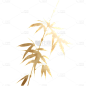 植物通用插画烫金竹子元素素材