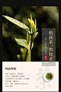 2020年新茶上市宋茗安吉白茶100g明前特级金色礼盒装正宗珍稀绿茶-tmall.com天猫