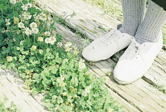 寳の亽寳采集到局部