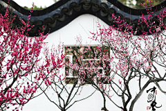 搞不大大斯斯采集到中国感