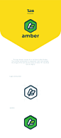 branding  logo colors styleguide concept presentation Webdesign CaseStudy Icon app