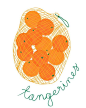 Tangerines illustration.