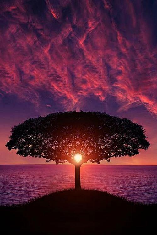 唯美山水大背景图片