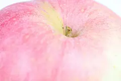 热带水果创意水果有机水果绿色水果apple食物新鲜成熟美食孤立蔬菜苹果带刺食物健康818A5704 – 饿狐背景网站-微距高清设计素材免费图片下载海报壁纸摄影背景素材，背景图，背景墙，背景板，背景图片，背景纹理，背景板设计，背景材质，背景大图