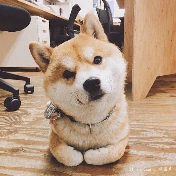 点击查看源网页
