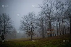 我去了我城镇附近的一个湖，看到了雾，所以我试着拍了一些有趣的照片