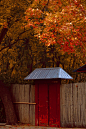 在京城，过秋天。

@北京地坛公园  

#秋天##风光摄影##银杏# ​​​​