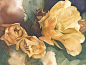 Jeanne Bonine精美花卉水彩作品欣赏
