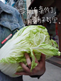 小红书海报文案合集，看似简单但让人喜欢 : 一眼望去都是常规的文案，仔细一读充满情感。