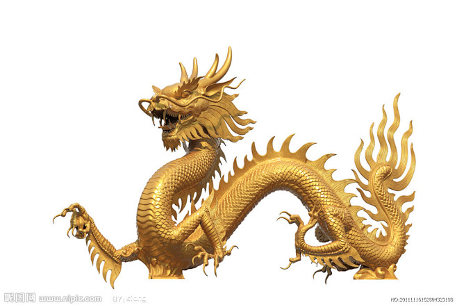 金龙
