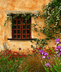 每一扇窗都开满鲜花—莫奈的花园，法国小镇吉维尼。
