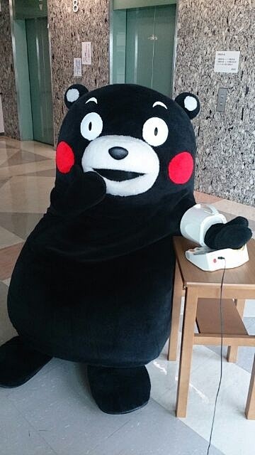 Kumamon is watching ...