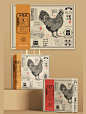 品牌包装插画设计 复古包装