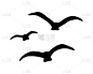 鸟类,黑色,羊群,白色背景,无人,矢量,图像,草图,水平画幅,绘画插图