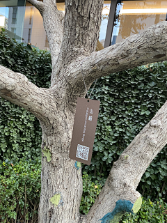 若楠（盼）采集到和光尘樾