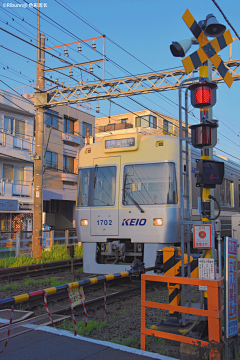 西夏dori采集到实景