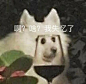 微博搜索