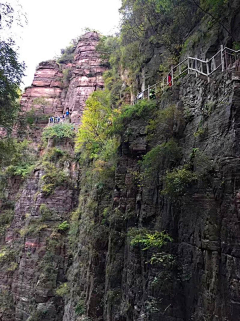 听风淡然采集到我走过的山山水水······