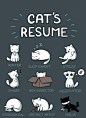 喵星人的职能简历（Cat’s Resume）