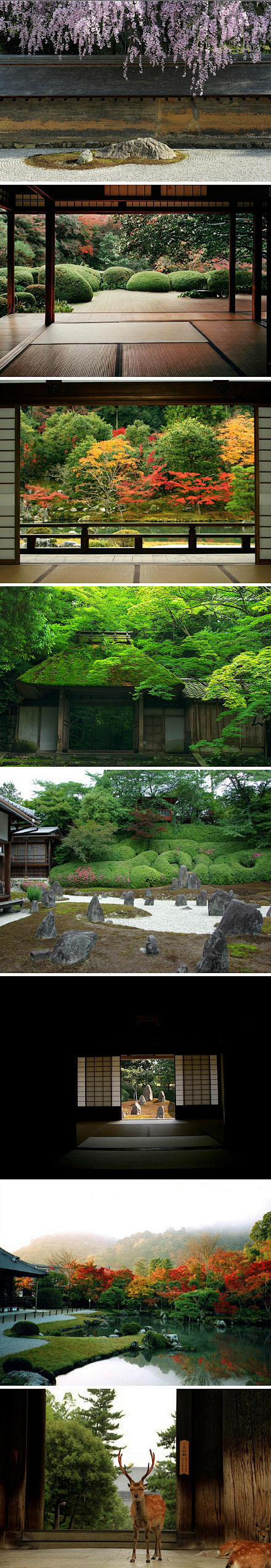 日本庭園，极富禅韵。