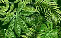 绿植背景墙  - 源文件下载【酷图网】写意,壁纸,新中式,热带,叶子,龟背叶,兰花,蝴蝶,飞鸟,花卉背景,热带植物背景,北欧背景墙,手绘背景墙,丛林,电视背景墙,手绘壁画,北欧壁画,田园,背景墙,沙发背景墙,北欧,现代简约,手绘植物,手绘花卉,清新,淡雅,壁画,田园背景墙,麋鹿,芭蕉叶,植物,热带植物,电视背景,北欧背景,手绘背景,