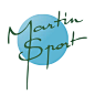 vectorwiki-martin-sport-logo