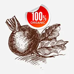 洋葱免抠素材_新图网 https://ixintu.com 卡通蔬菜 手绘洋葱 洋葱 蔬菜 食物 餐饮