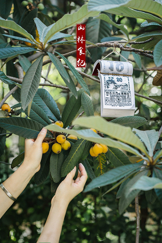 谷雨 │ 寒尽散
萍始生 呜鸠拂其羽 戴...