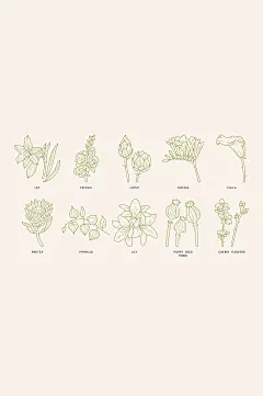 手绘线描花绘元素-众图网