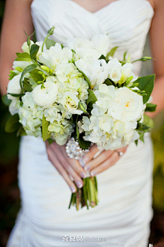 青都山水郎采集到wedding,flower