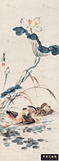 王雪涛画荷花