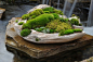 Moss & Stone Gardens —studio 'g' garden design and landscape inspiration and ideas Studio G, Garden Design & Landscape Inspiration
