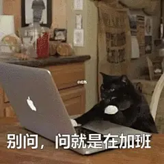 打工人表情包_百度图片搜索 (14)