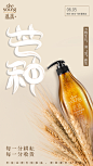 芒种海报