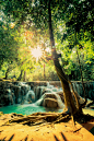 老挝琅勃拉邦光西瀑布.jpg (750×1125)