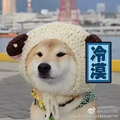 我今天收集到了好多表情包哟！
开心！ ​​​​