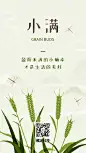 小满节气插画手机海报