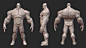 Infinity Hulk Character Anatomy Blockout