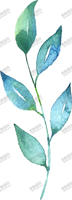 水彩手绘花卉花朵植物 【酷图网】手绘植物叶子,绿叶,叶子,叶脉,枝叶,植物,绿色,矢量素材,自然,草本植物,矢量树叶,树叶,茶叶,自然景物,绿叶子,纹理,绿树叶,绿色叶子,手绘水彩画,手绘花朵,手绘叶子,手绘水墨植物