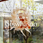 Photo by 설화수 Sulwhasoo Official on November 24, 2024. 可能是包含下列内容的图片：一人或多人、毛发、美发产品、招牌、满天星和文字.