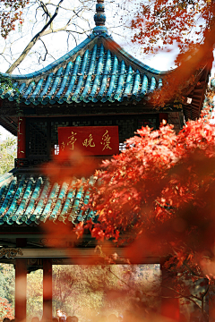 5p09nxqP采集到建筑