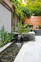 Residence - Kalorama - asian - Patio - Dc Metro - JHLA / Jennifer Horn Landscape Architecture: 