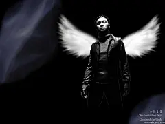 张国荣桌面壁纸图片-10