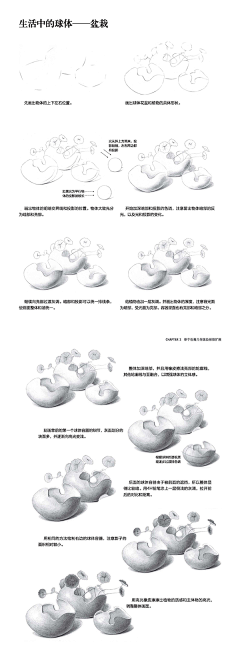 大胃虫采集到绘画（素描-静物）