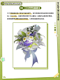 【绘画教程】二次元插画日系花束画法分享